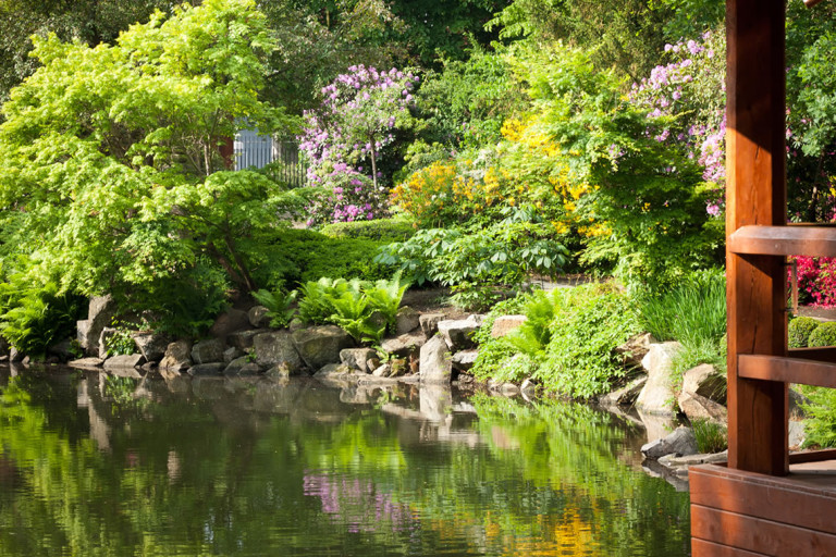 Ogród Japoński - Giardino Giapponese