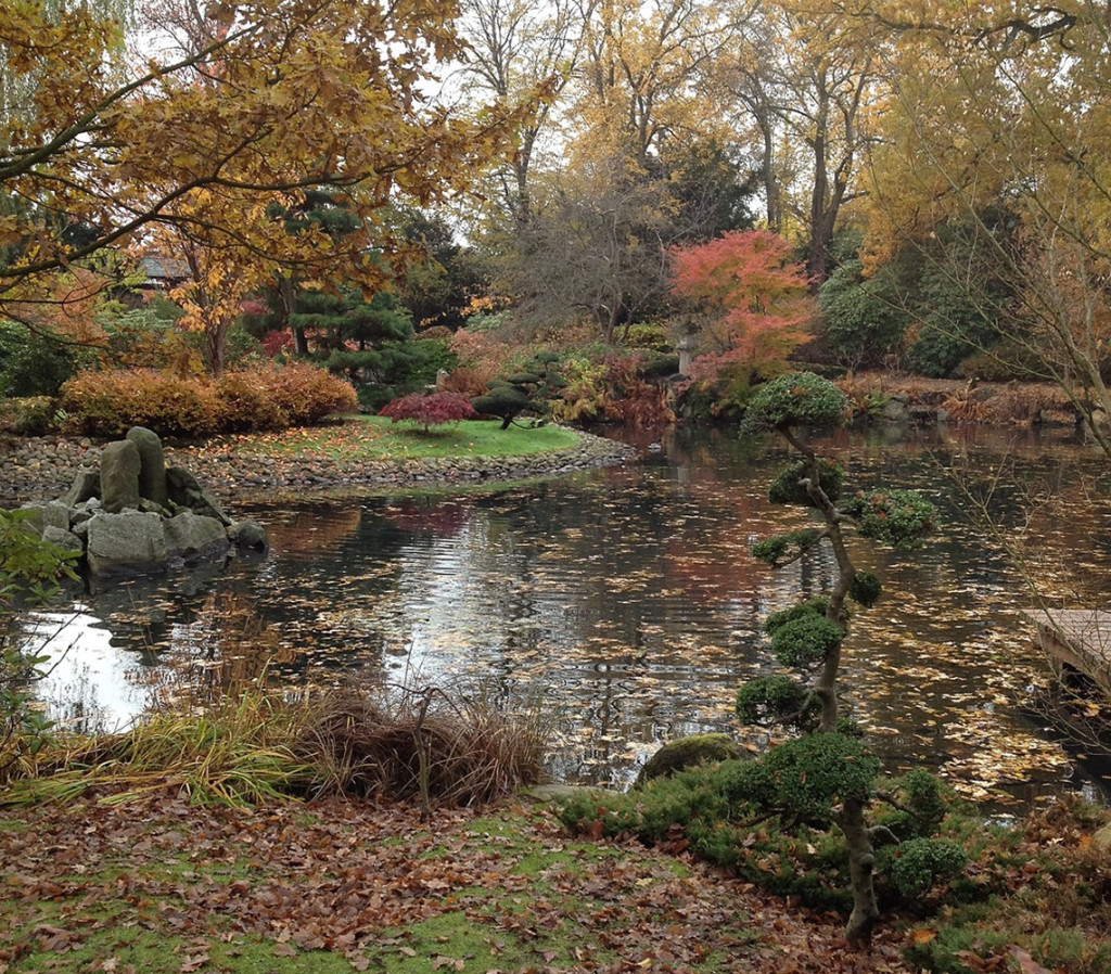 Giardino giapponese