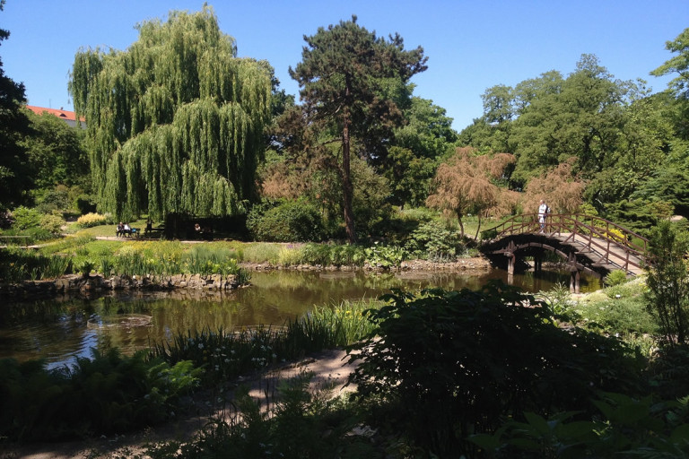 Ogród Botaniczny Uniwersytetu Wrocławskiego - Orto botanico dell’Università