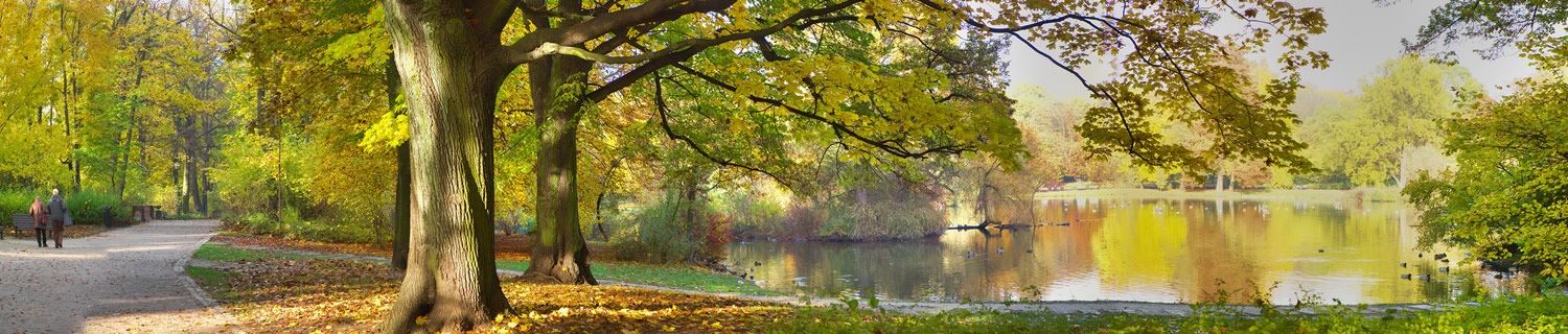 Parco in autunno