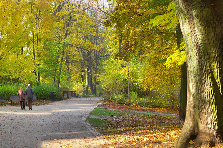 Park Szczytnicki – Parco Szczytnicki